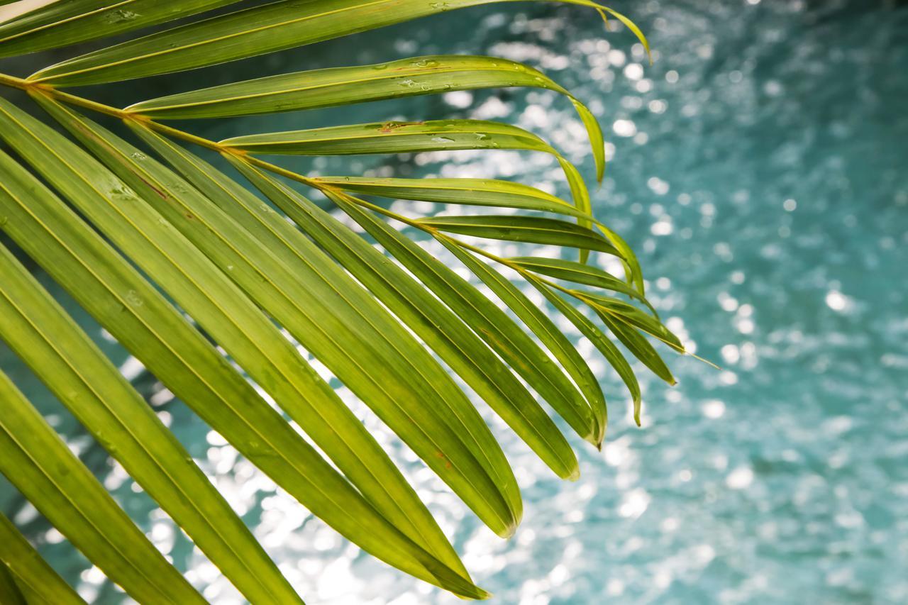 Villa Air Bali Boutique Resort And Spa Семиньяк Экстерьер фото